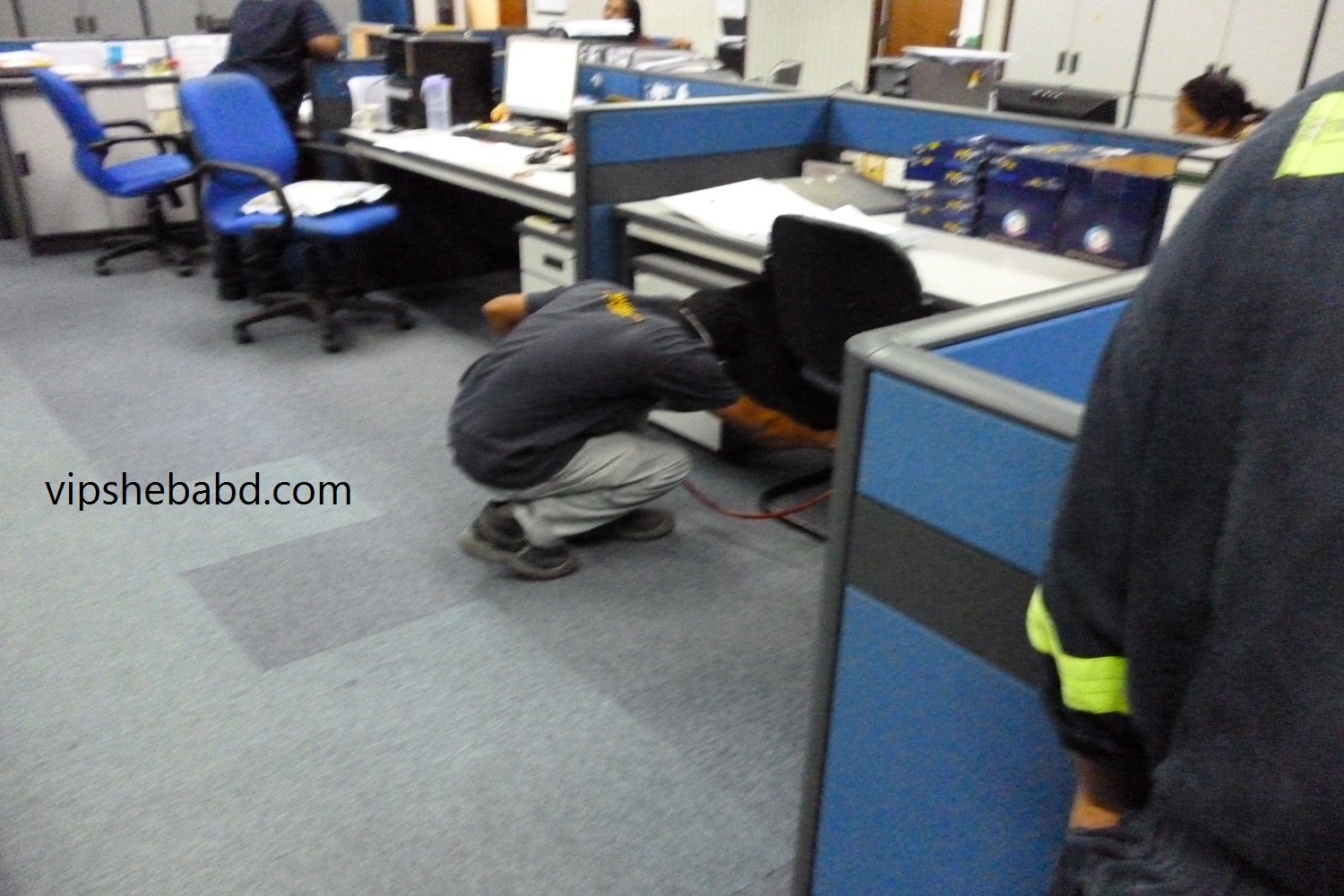 Office pest control Dhaka