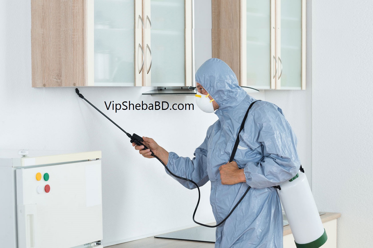 Home pest control services